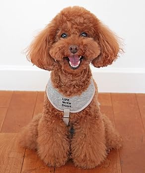 Amazon.co.jp: [犬と生活] サスペンダー胸あて付き刺繍入り (犬